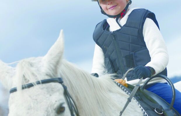 3% van Belgische gezinnen heeft paarden