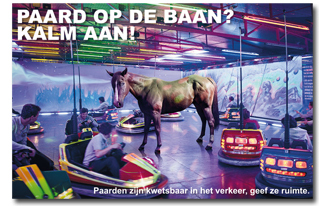 Paard op de baan? Kalm aan!