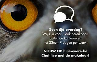 Nieuw: Chatservice op Hillewaere.be