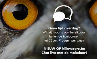 Nieuw: Chatservice op Hillewaere.be