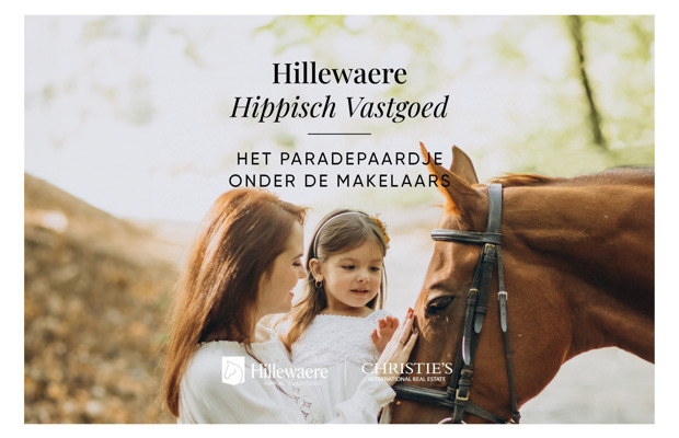Hillewaere Hippisch Vastgoed: het paradepaardje onder de makelaars
