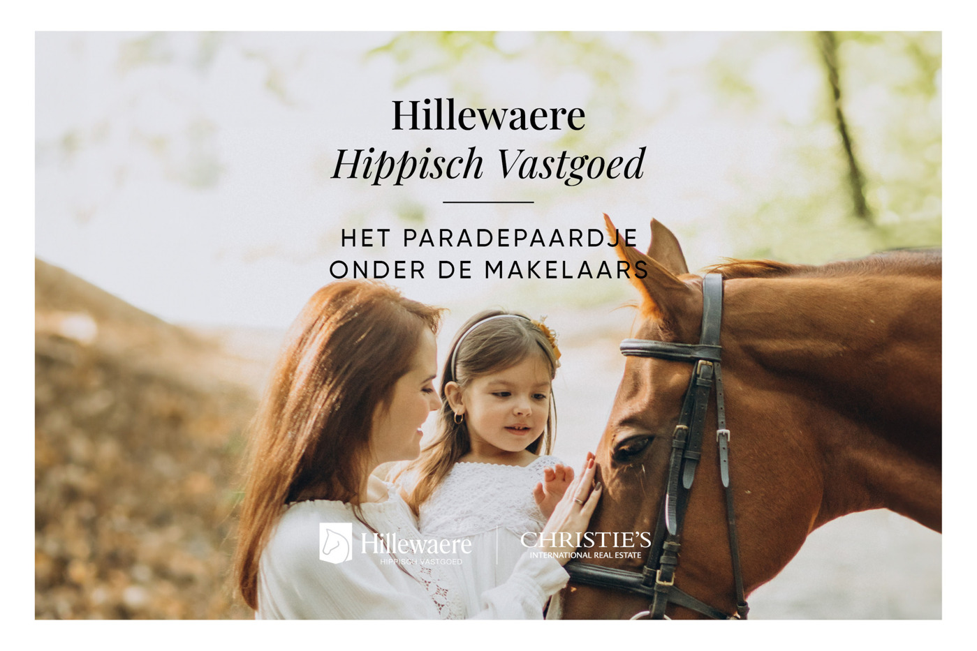 Hillewaere Hippisch Vastgoed: het paradepaardje onder de makelaars