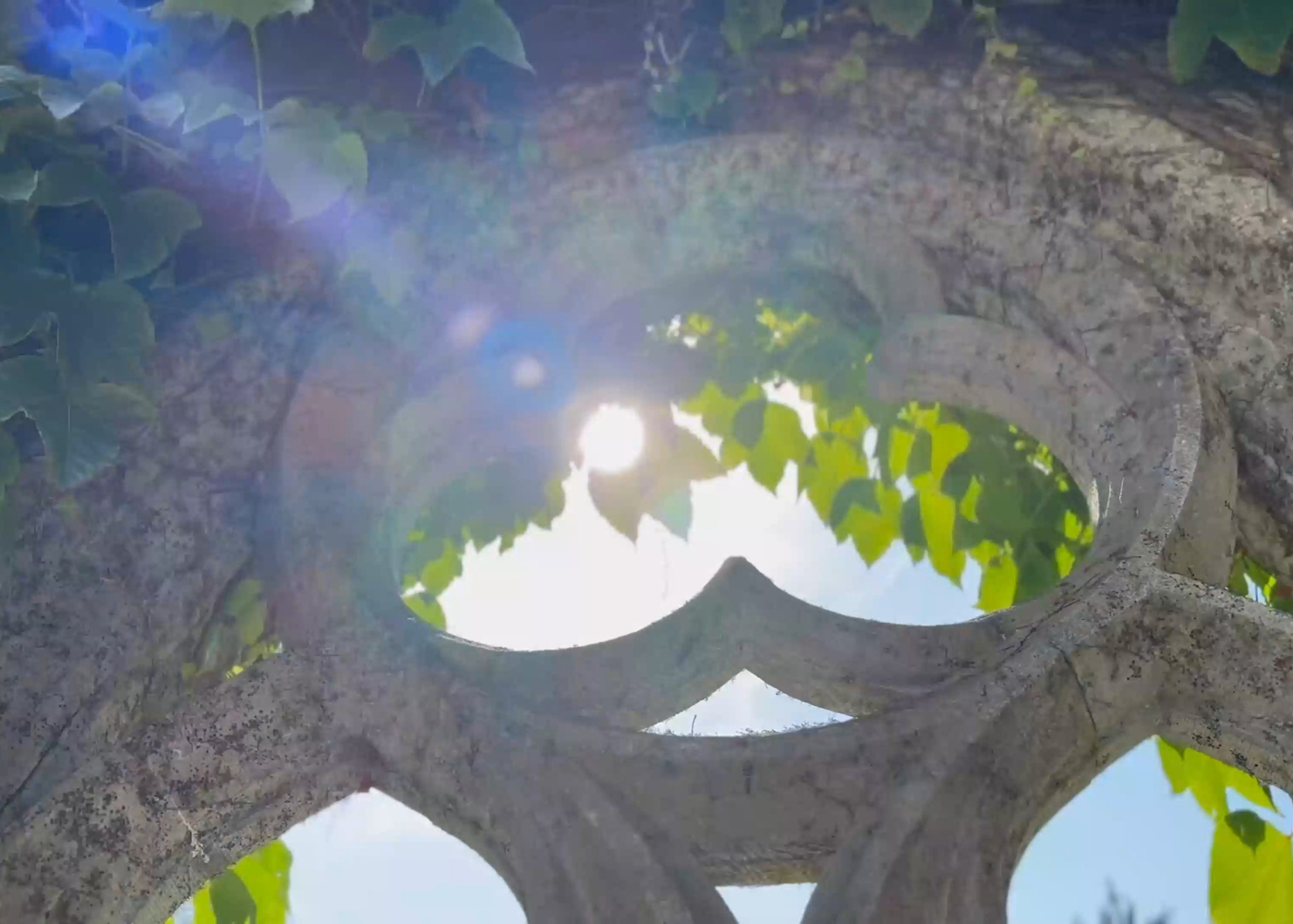 Stnwg op Antwerpen 130