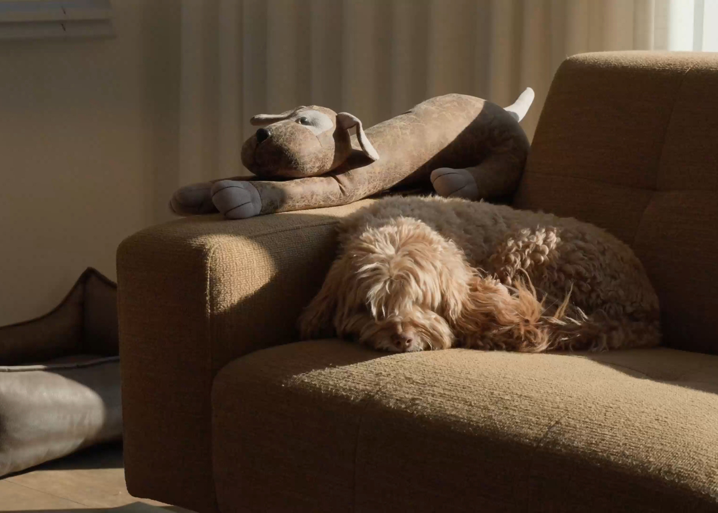 Tinstraat 1 - Putte - Hondjes zetel