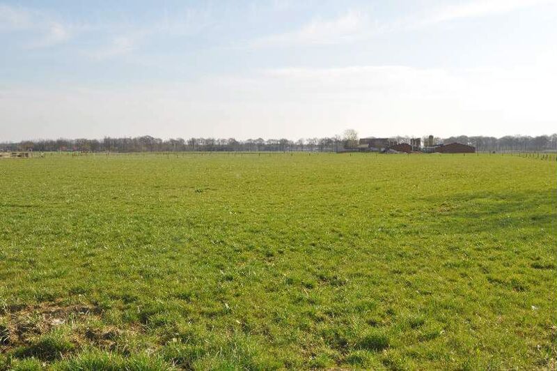 PastureLand te Merksplas