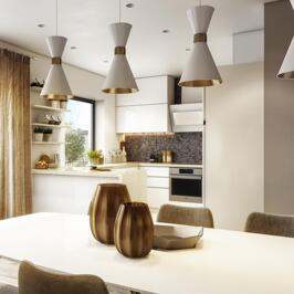 Louis te Oud-Turnhout