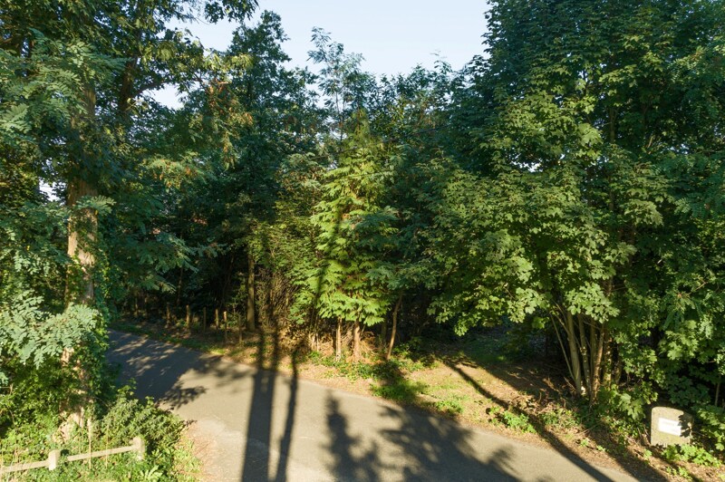 Grond te Zandhoven