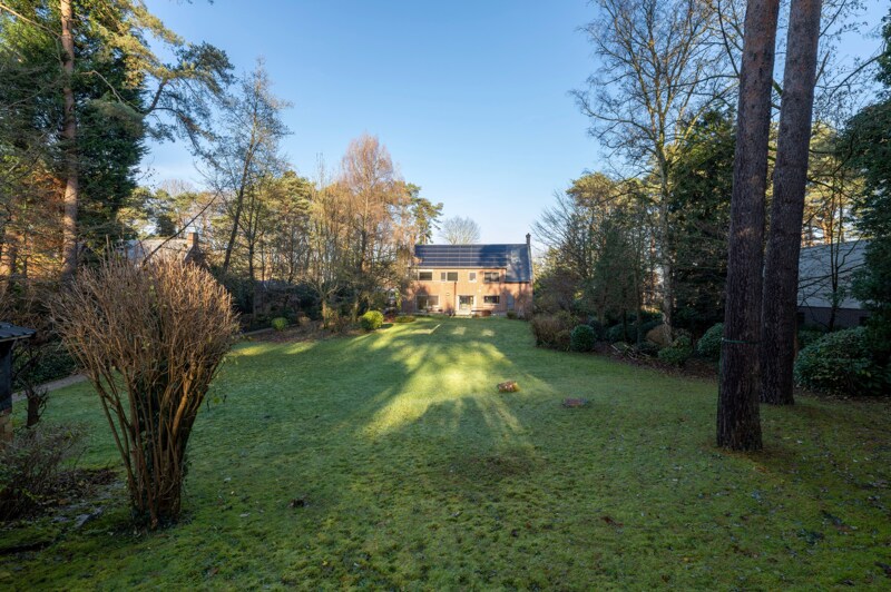 Kangoeroewoning te Maasmechelen