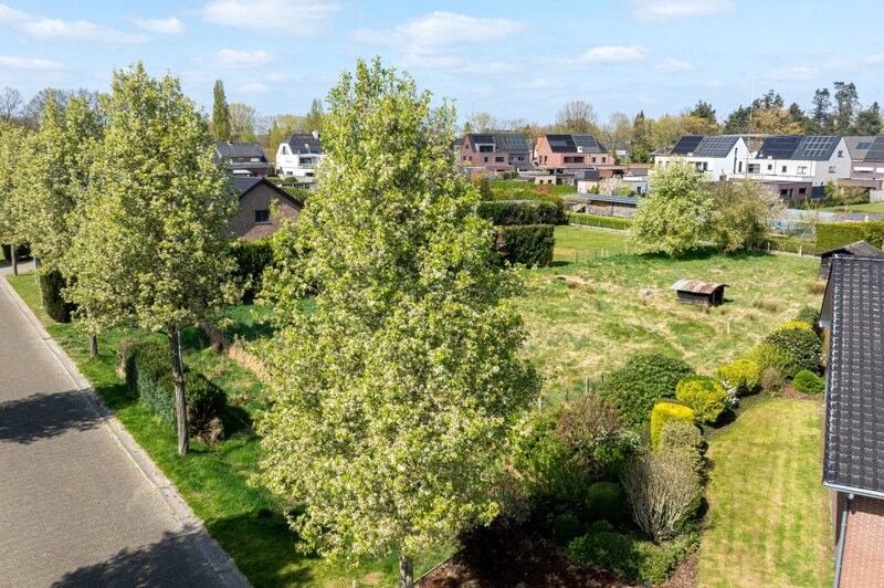 Grond te Oud-Turnhout