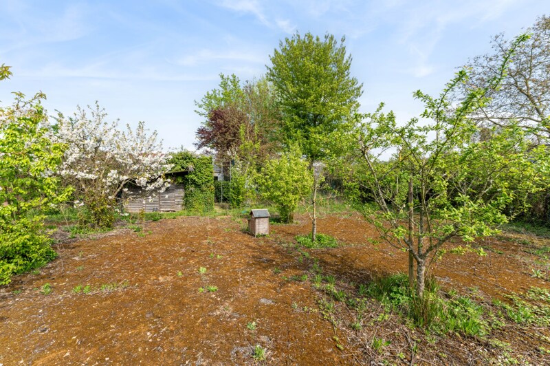 Bungalow te Hasselt