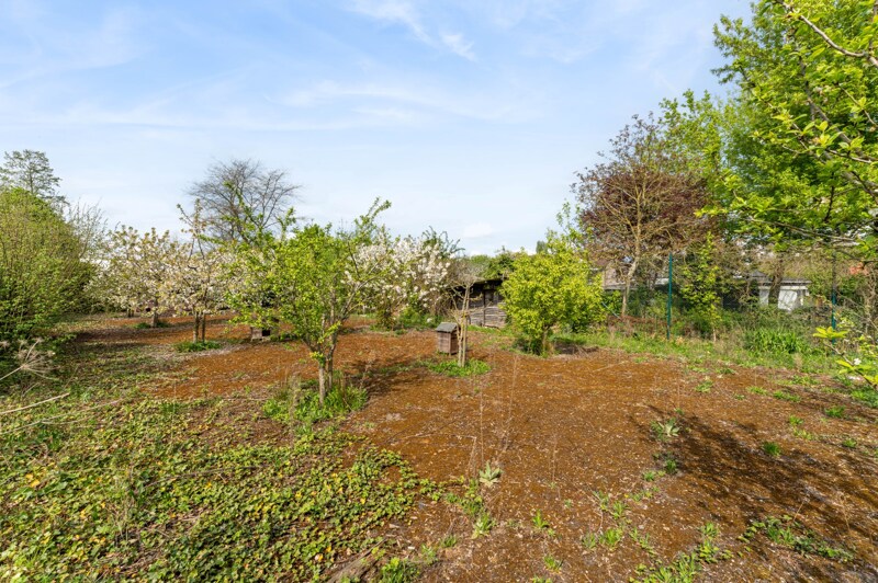 Bungalow te Hasselt