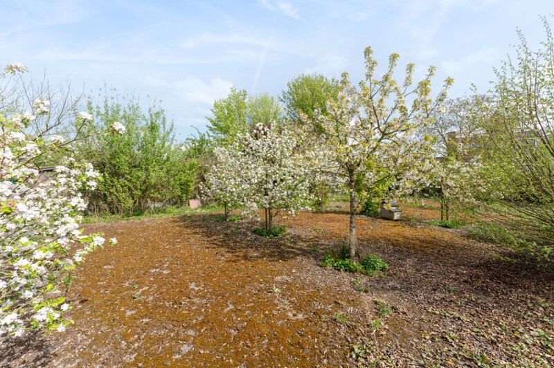 Bungalow te Hasselt
