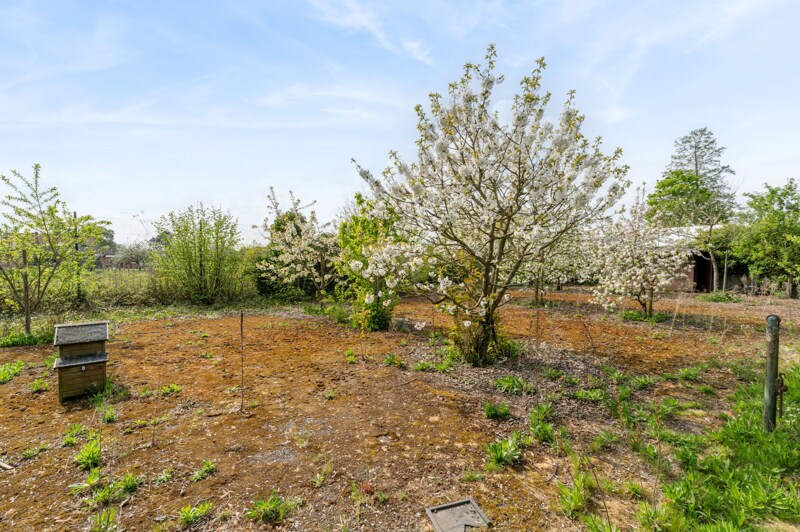 Bungalow te Hasselt