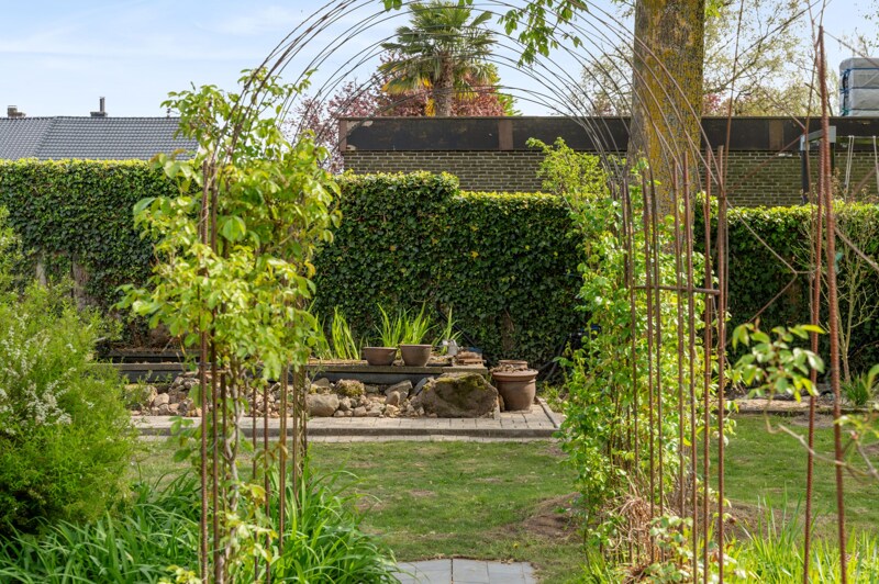 Bungalow te Hasselt