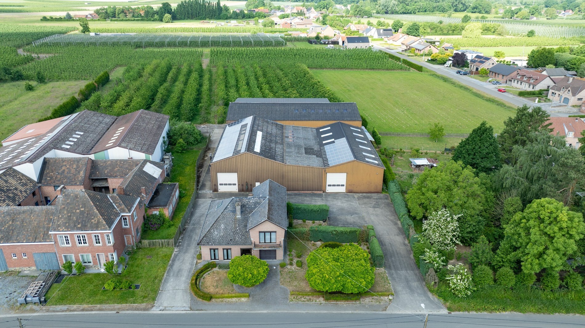Hardfruitbedrijf met loodsen (+1.700 m²), landbouwgronden en instapklare woning op circa 1,1 ha 