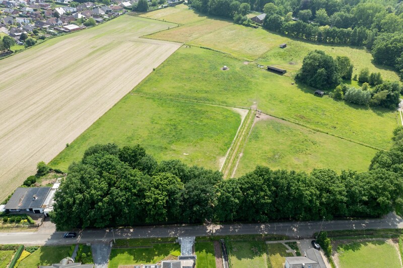 PastureLand te Zandhoven