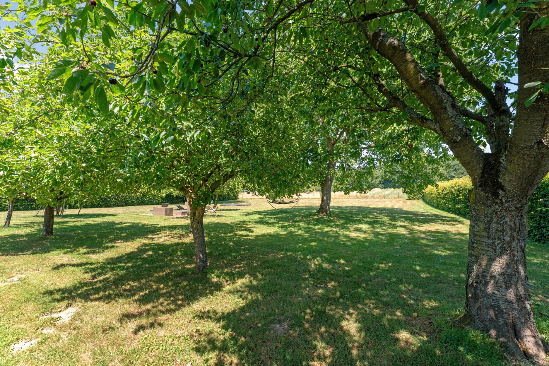 Uniek en rustig gelegen landgoed  met adembenemend uitzicht, op een perceel van 5680m²