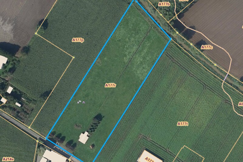 PastureLand te Wiekevorst
