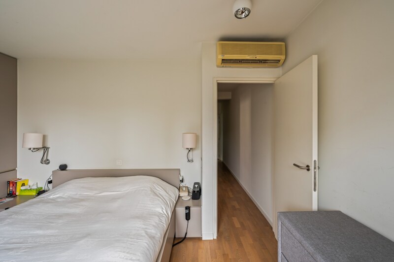 Triplex te Antwerpen