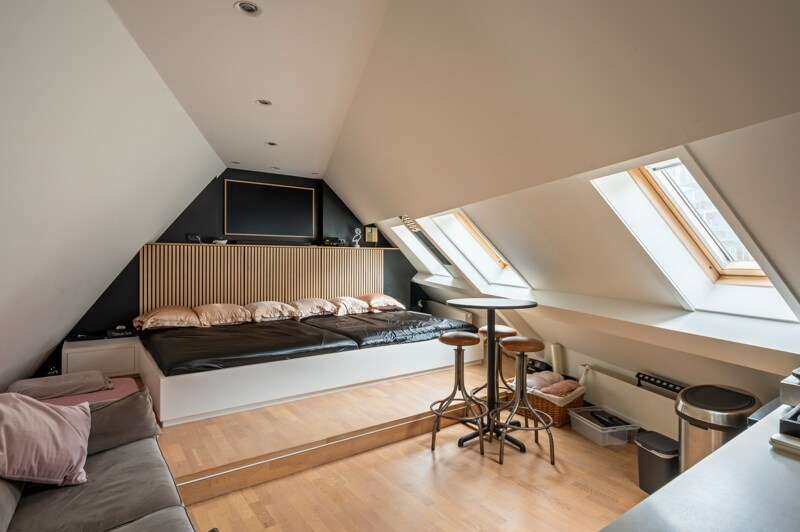 Triplex te Antwerpen