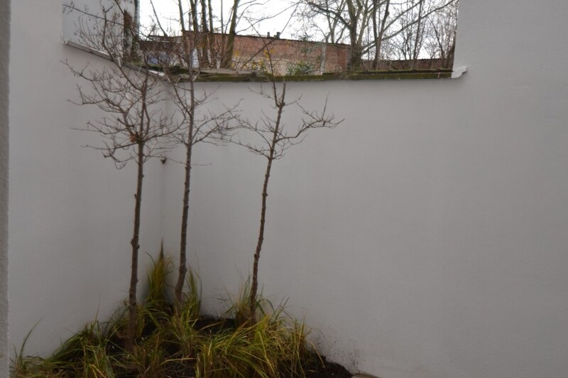 Benedenwoning te Antwerpen