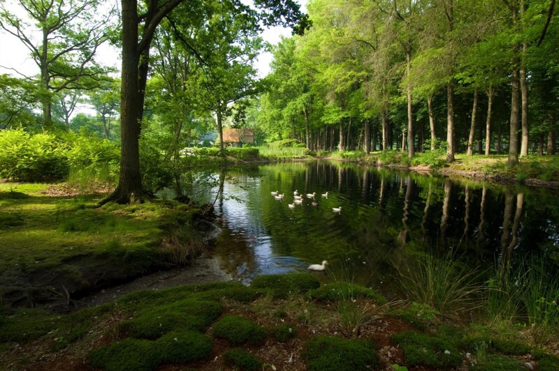 Exclusieve Villa te Oud-Turnhout