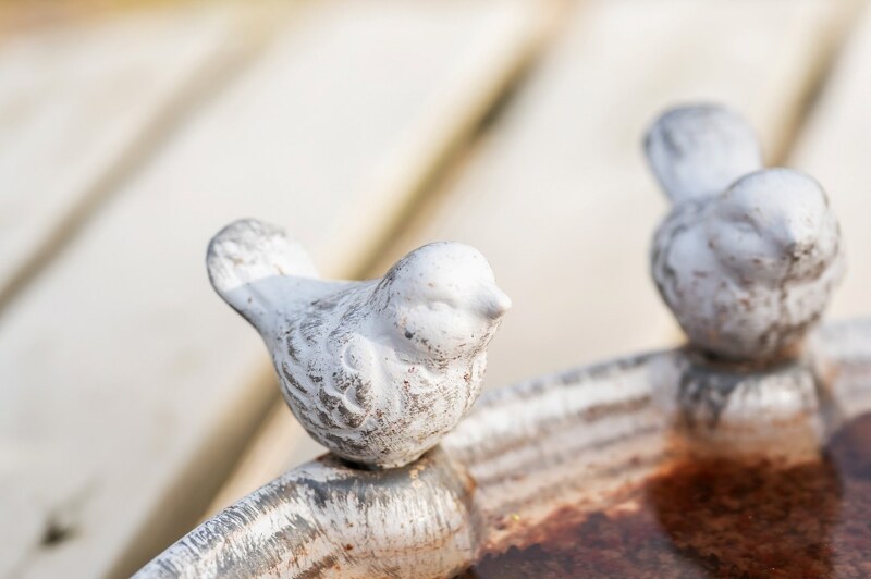 Benedenwoning te Oosteeklo