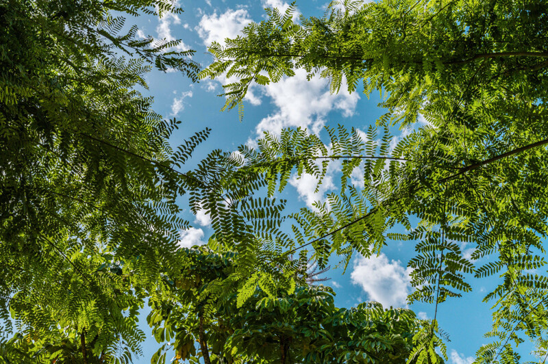 Penthouse te Marbella