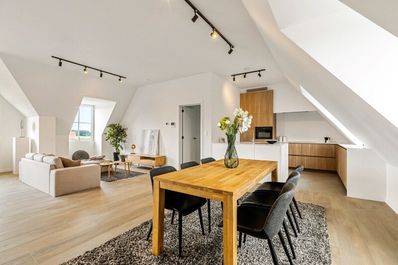 Dakappartement te Ravels