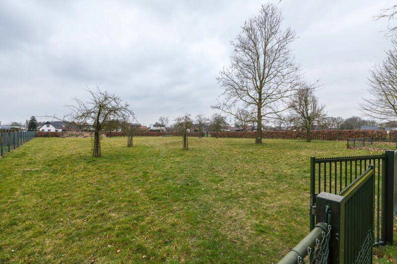 Exclusieve Villa te Hamont-Achel