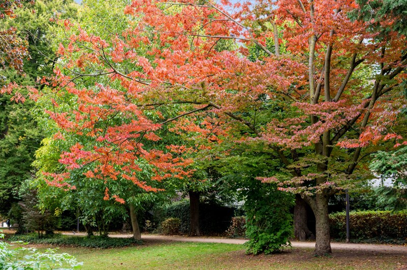 Dakappartement te Sint-Truiden