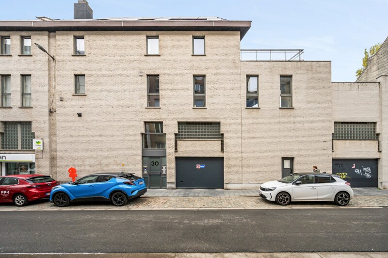 Triplex te Antwerpen