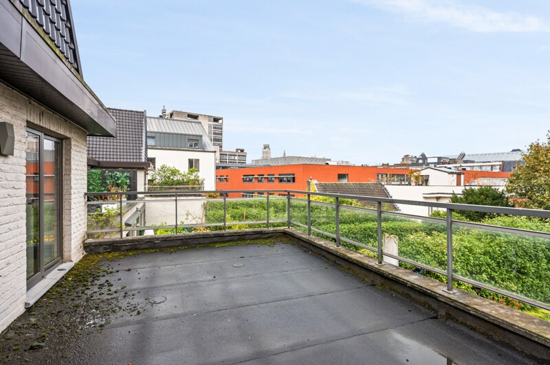 Triplex te Antwerpen