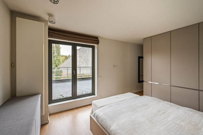 Triplex te Antwerpen