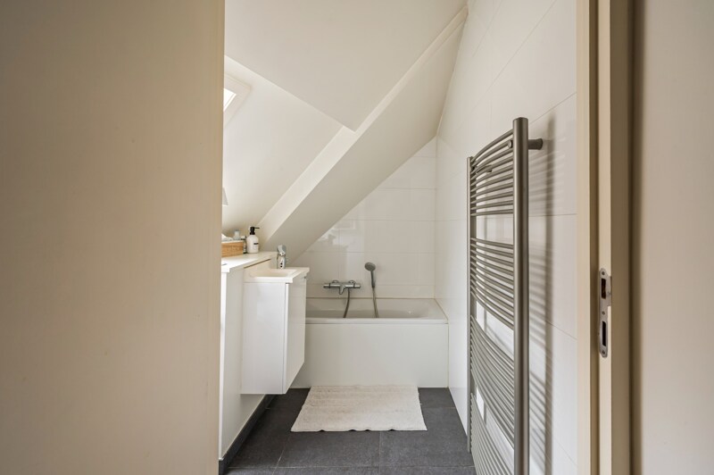 Triplex te Antwerpen