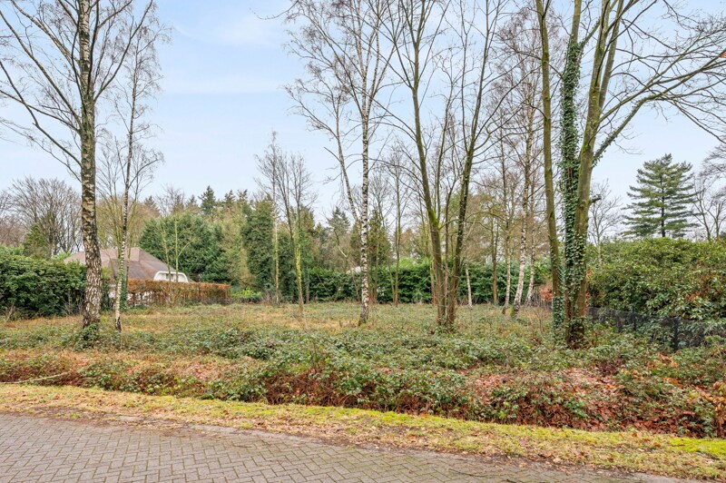 Grond te Oud-Turnhout