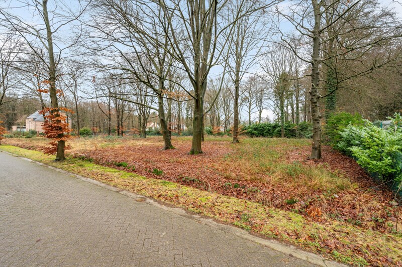 Grond te Oud-Turnhout