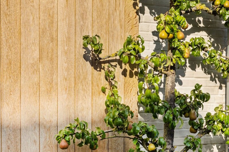 Commercieel kantoor te Meise