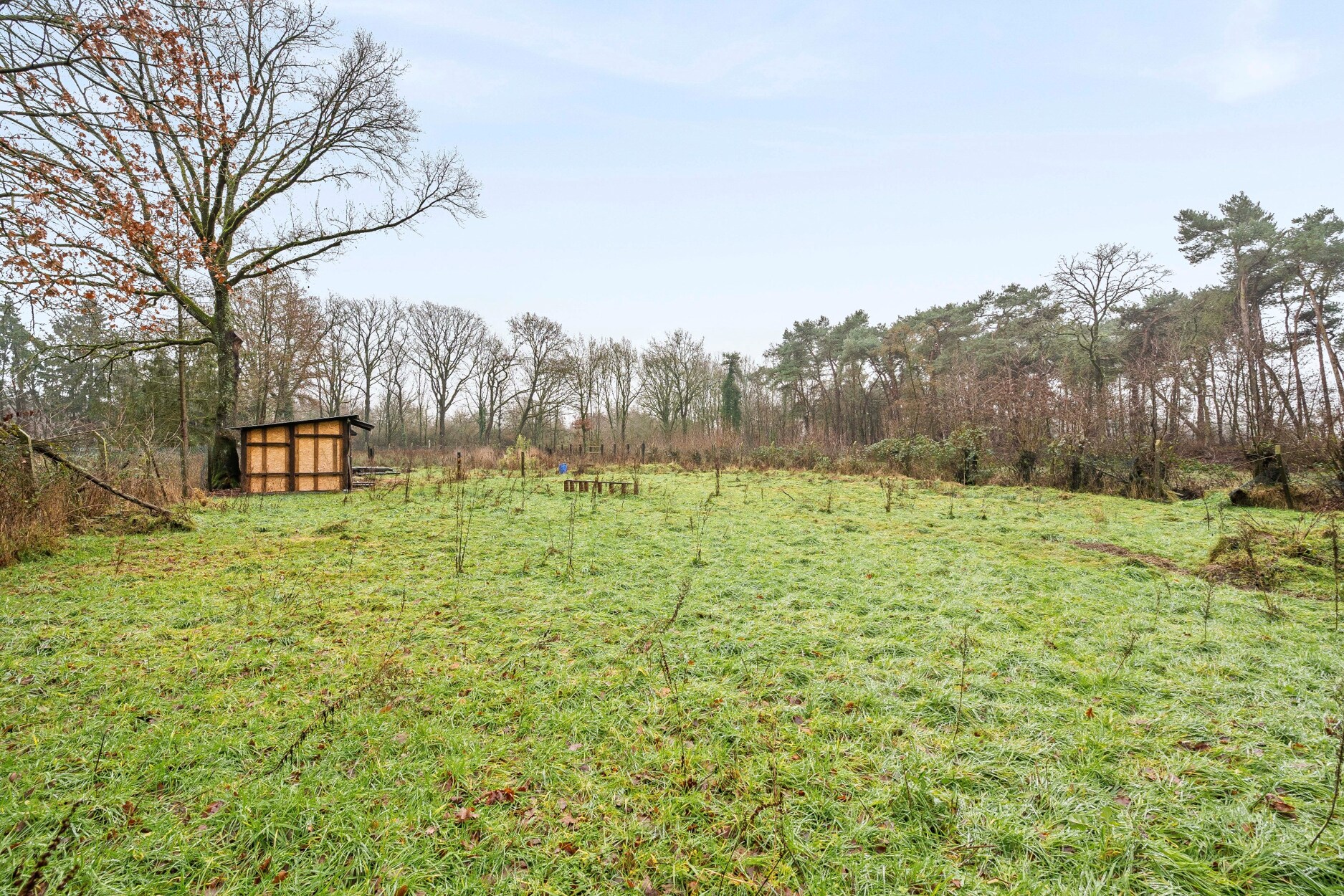 Rustig gelegen natuurperceel van 3.171 m² langs de Belsebaan in Balen