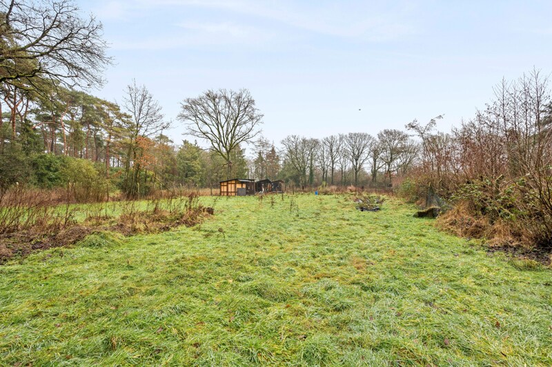 PastureLand te Balen