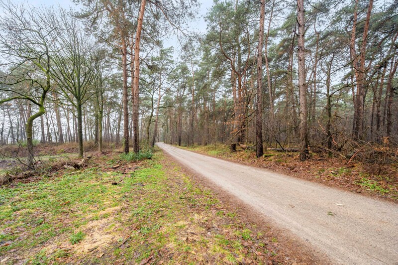 PastureLand te Balen