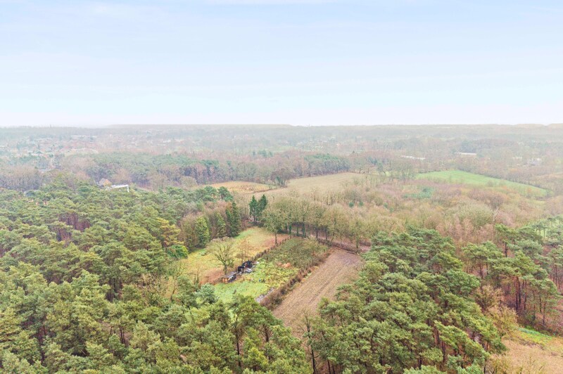 PastureLand te Balen