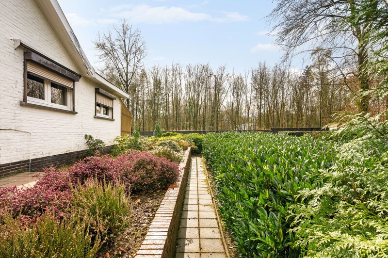 Grond te Oud-Turnhout