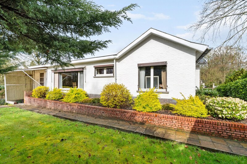 Grond te Oud-Turnhout