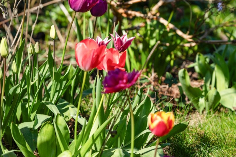 Commerciële winkel te Nevele