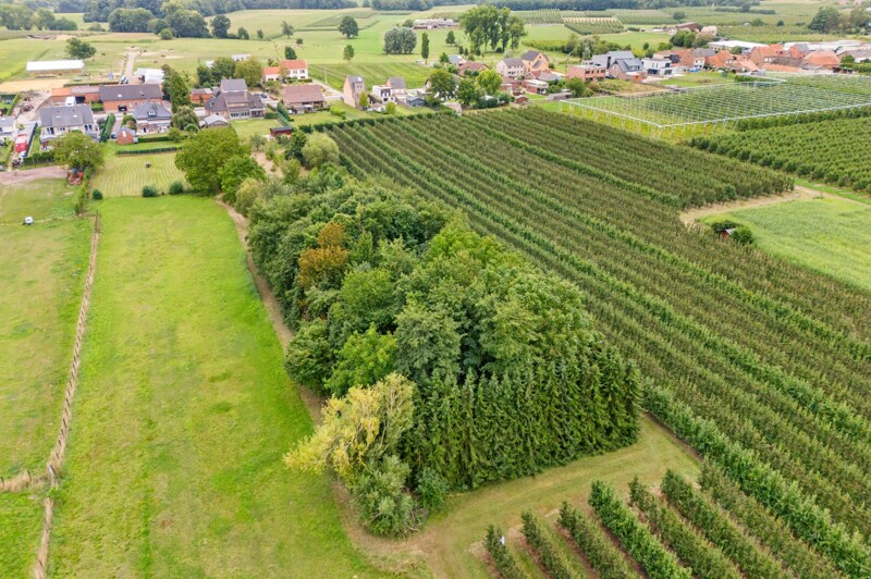 Villa te Tielt-Winge