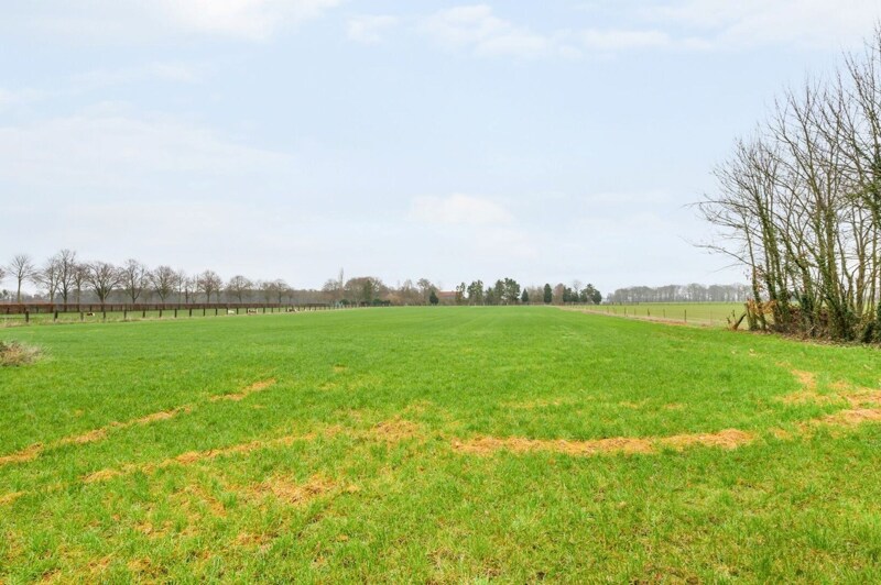 Grond te Herentals