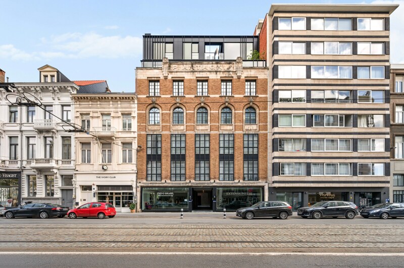 Triplex te Antwerpen