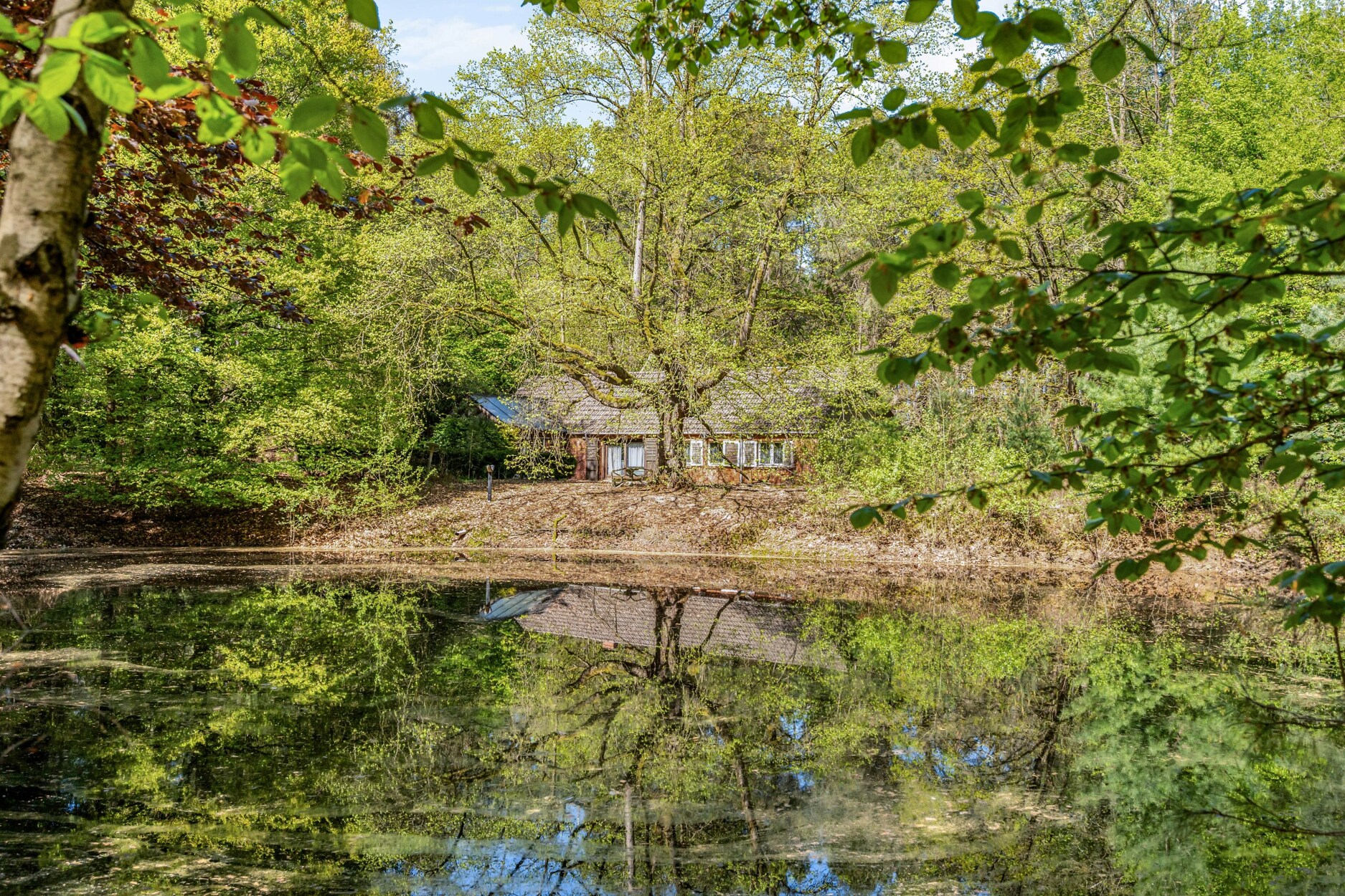Uniek domein (12 ha) in Geel: oase van rust en mogelijkheden