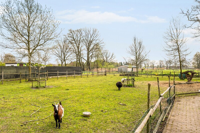 Exclusieve Villa te Lommel